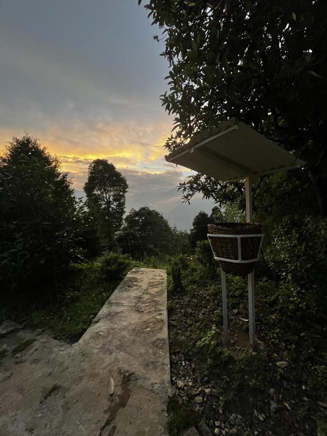 The Nettle And Fern Farmstay Pelling Exteriér fotografie