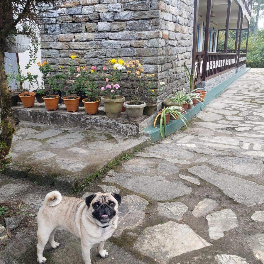 The Nettle And Fern Farmstay Pelling Exteriér fotografie