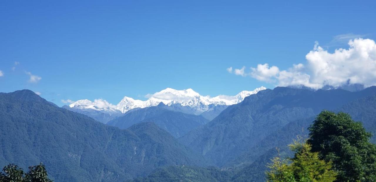 The Nettle And Fern Farmstay Pelling Exteriér fotografie