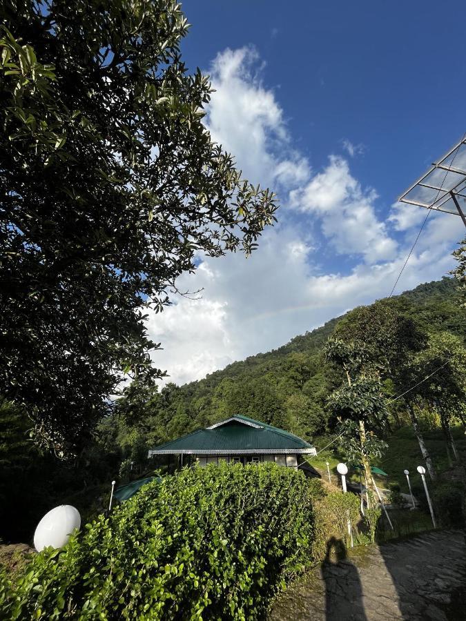The Nettle And Fern Farmstay Pelling Exteriér fotografie