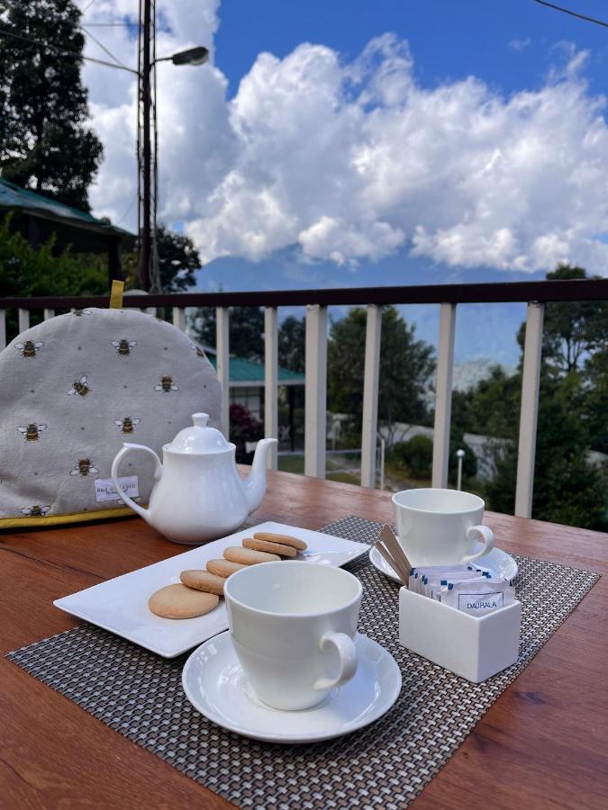 The Nettle And Fern Farmstay Pelling Exteriér fotografie